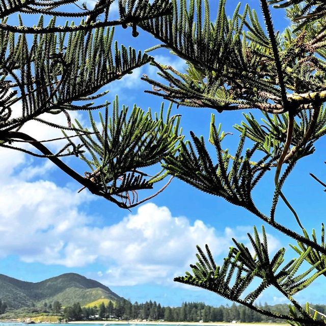 🌴 Lord Howe Island: A Hidden Paradise 🌴