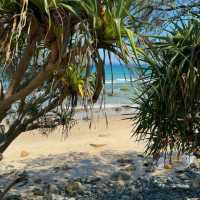 Blissful Byron Bay, Australia 🌊🌿