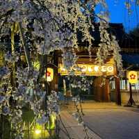 Enjoy Night Views in Kyoto City Streets 🌃✨