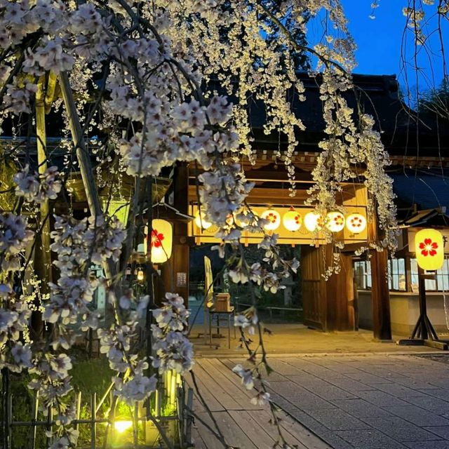 Enjoy Night Views in Kyoto City Streets 🌃✨