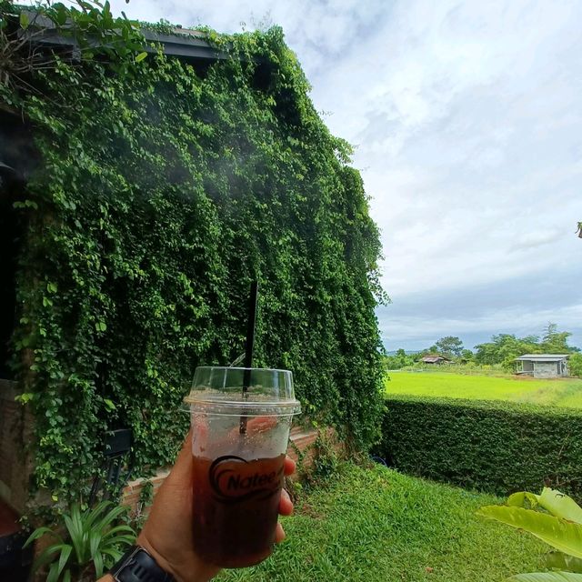 NATEE CAFÉ AT BURIRAM 