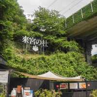 熱海避暑好去處🏖️ 來宮神社尋幽探秘