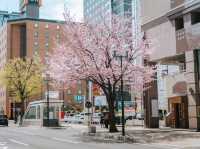 Sapporo