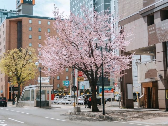 Sapporo
