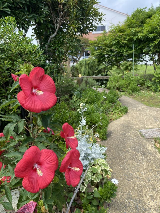 【房総半島】緑に囲まれた一軒家でイタリアン