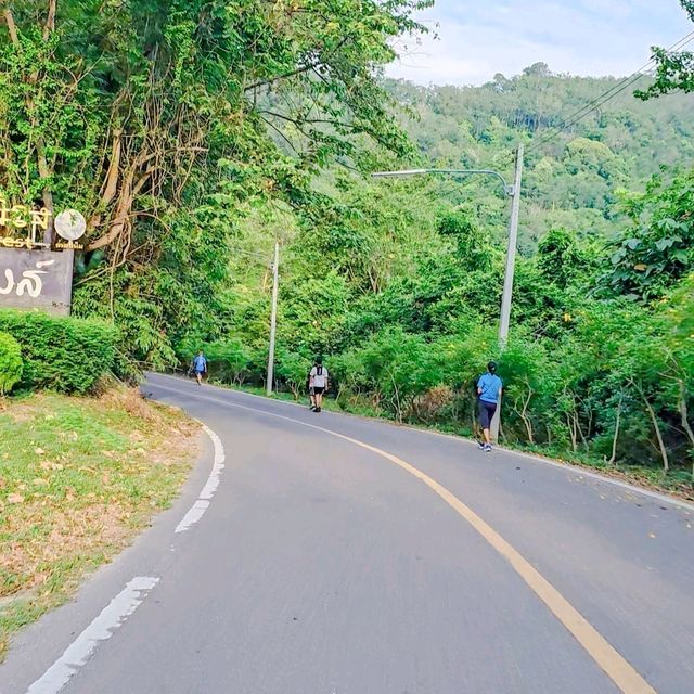 เขาคอหงส์ หาดใหญ่