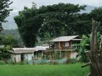 บ้านวังริมคอง โฮมสเตย์ 