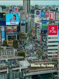 Shibuya ～ The Most Iconic Place in Tokyo?! 🇯🇵