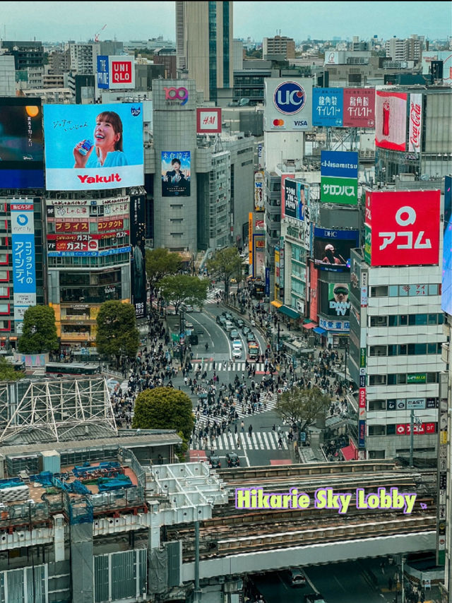Shibuya ～ The Most Iconic Place in Tokyo?! 🇯🇵