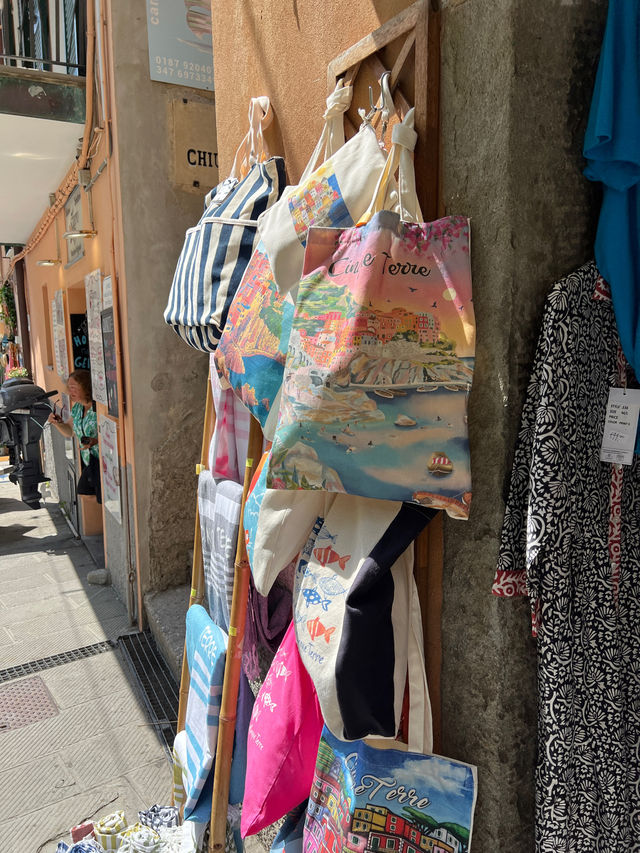 意大利🇮🇹最愛😍度假勝地🫶🏻Manarola😗依山而建小鎮