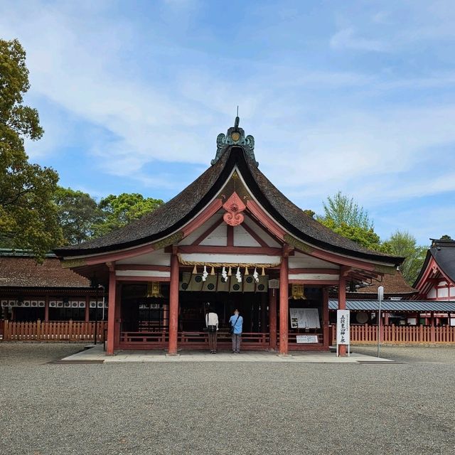 日本神社漫走，莊嚴肅穆的津島神社。