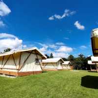 吉卜力公園附近的glamping