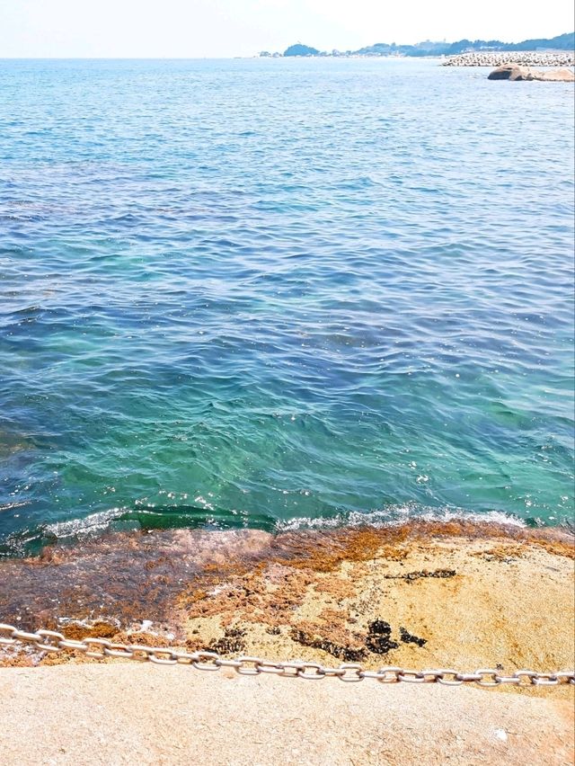 양양여행 필수 코스! : 🏖휴휴암