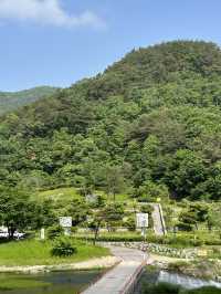 여름의 등산 코스 🌞 아름다운 산수강산 풍경을 보실 수 있는 등산여행지