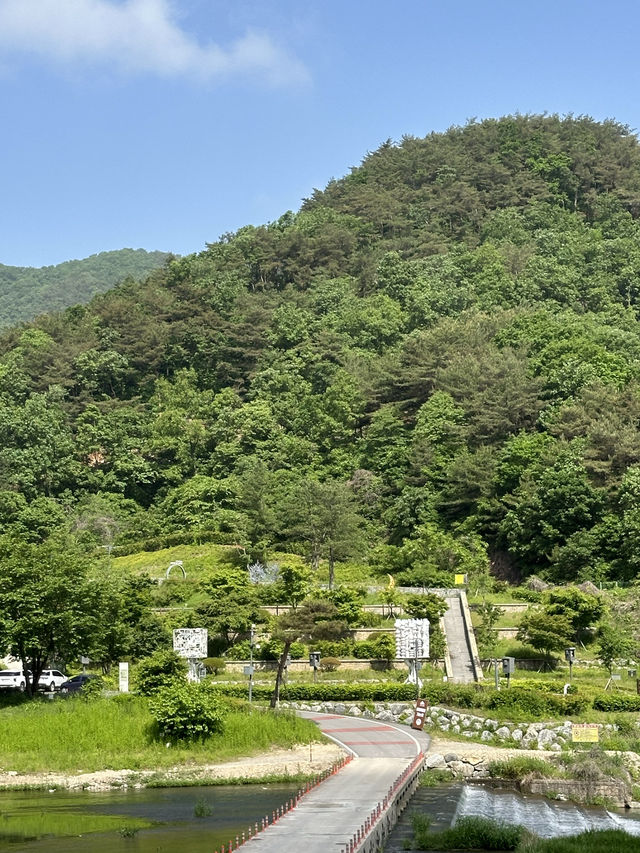 여름의 등산 코스 🌞 아름다운 산수강산 풍경을 보실 수 있는 등산여행지