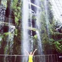 Singapore 🇸🇬 Most beautiful indoor garden 