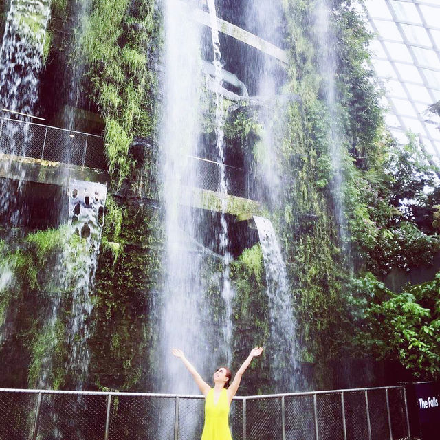 Singapore 🇸🇬 Most beautiful indoor garden 