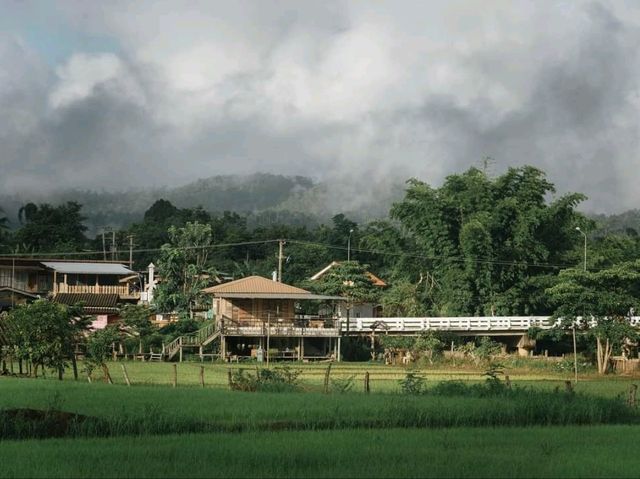 เมืองคอง จ.เชียงใหม่