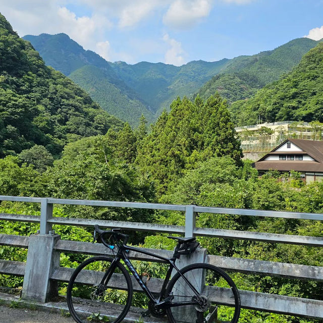 「等等力溪谷公園～感受大自然的壯闊」