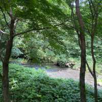 【軽井沢】必ず抑えたい自然を感じられる大人気スポット🌱