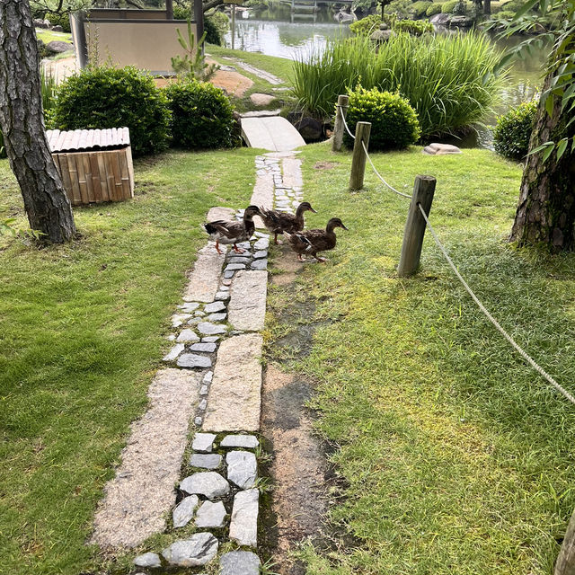 香川・丸亀『中津万象園・丸亀美術館』✨