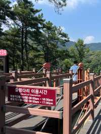 가볍게 산책하기 좋은 뷰 명당 장소 ‘마장호수 출렁다리’