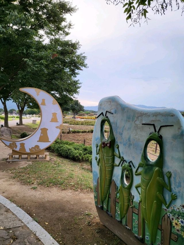 다양한 여름꽃들 만개한 경주사적공원