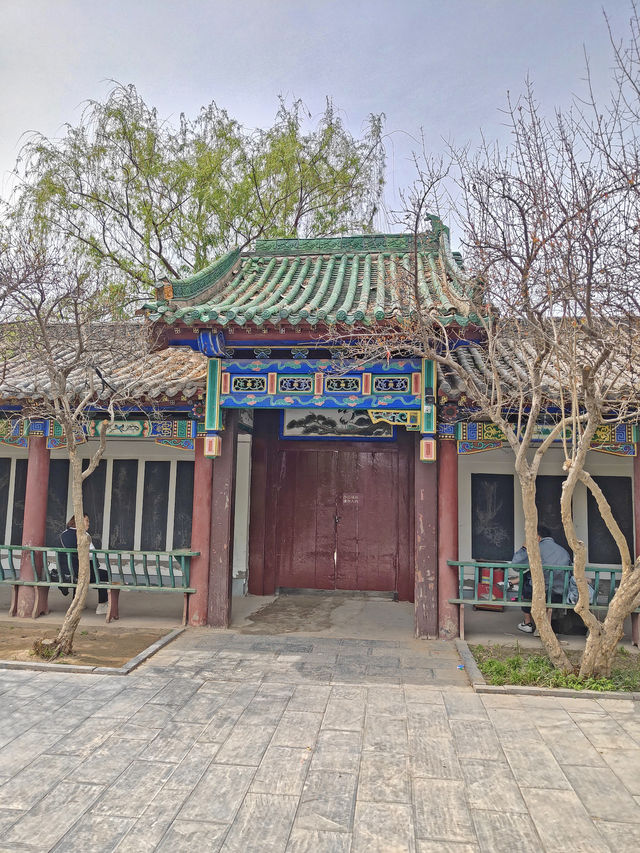 集當代書法大全藝術風采：中國翰園