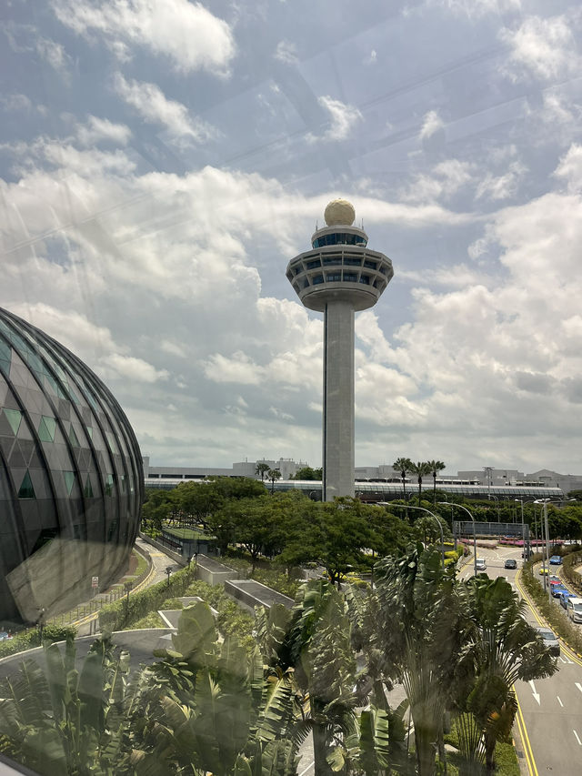 싱가포르 창이공항 이용기 (쥬얼창이 방문기)