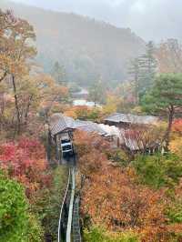 🌳🏠사진명소 곤지암 화담숲 가을에 추천해요💛