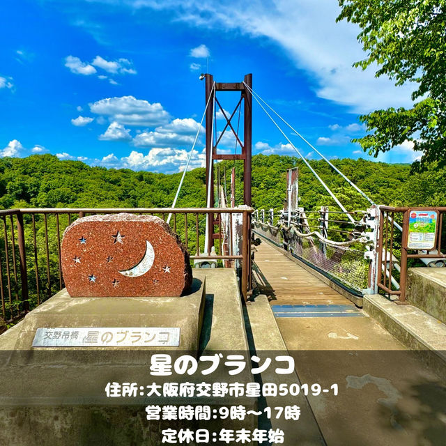府民の森の中にある吊り橋