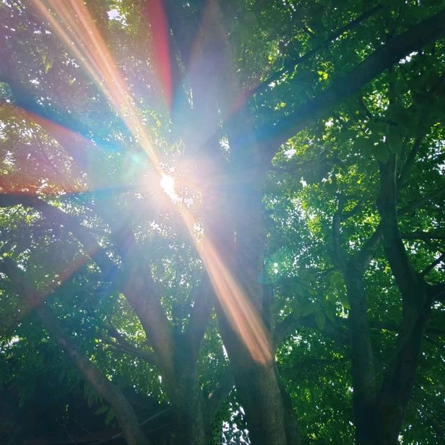 成都石經寺-靜謐好去處