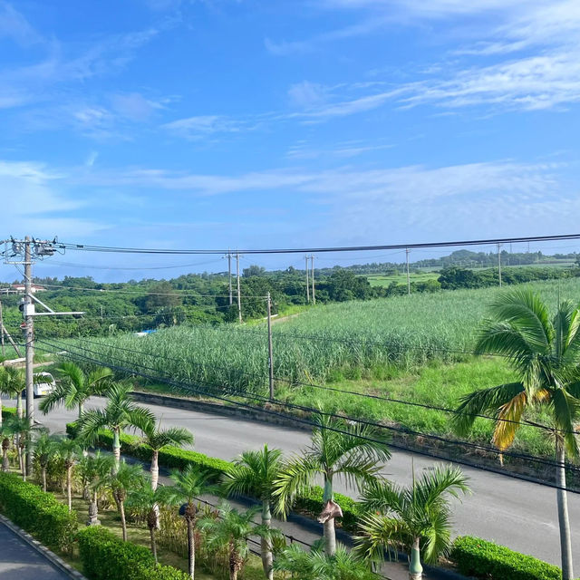 遠離城市的喧囂😊相島