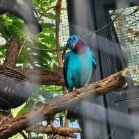 A Royal Botanical and Zoological Garden