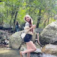 น้ำตกกกก 🌳