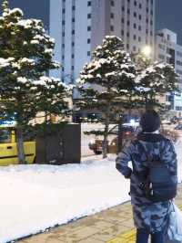เดินกินลมชมวิวที่ "ฮอกไกโด"