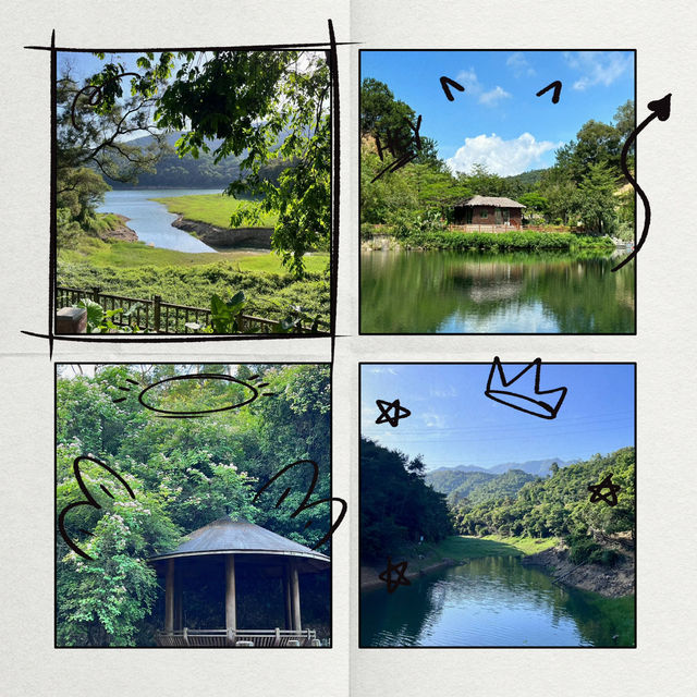 🌲 棲蘭森林遊樂區～自然風光滿滿