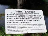 Strange rare landscape จุดชมวิว จ.นากาโนะ
