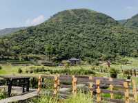 Yangmingshan National Park 