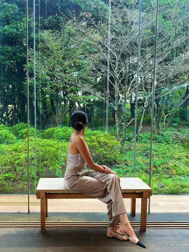 Experience the essence of Jeju @ Innisfree House 🇰🇷 