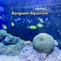  ศูนย์เรียนรู้โลกใต้ทะเล บางแสน