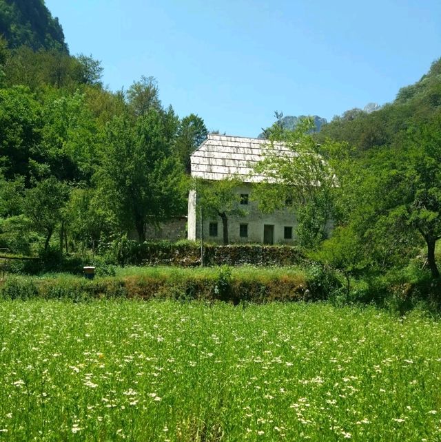 【アルバニア🇦🇱】世界の絶景🏔️テス村