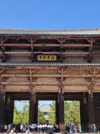 【世界最古の木造建築🏗️東大寺✨】