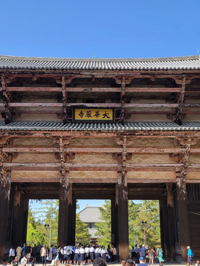 【世界最古の木造建築🏗️東大寺✨】
