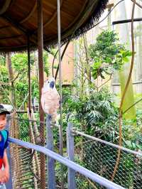 Up Close with Animals at Bird Paradise