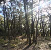 Exploring Grampian Victoria: Nature’s Majestic Playground