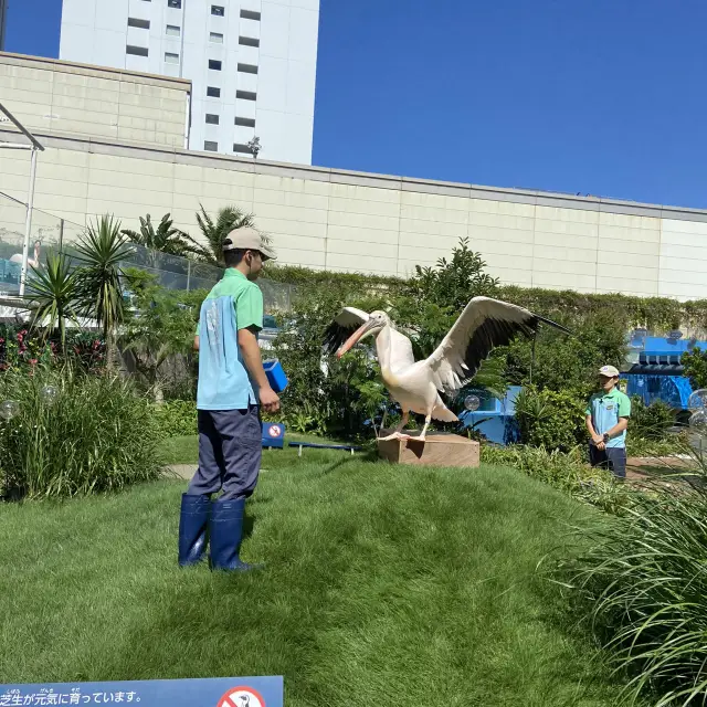 池袋陽光水族館