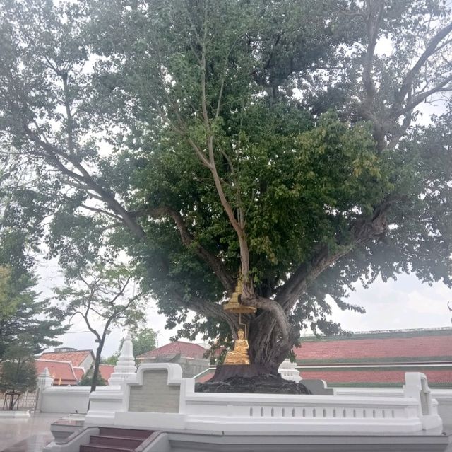 วัดสระเกศ วัดที่มีถ้ำและภูเขาจำลอง กลางกรุงเทพ✨️