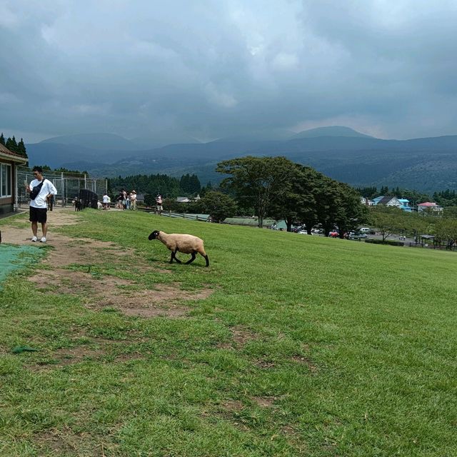 高千穗牧場游記