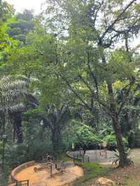 Discovering Telok Blangah Hill Park: A Tranquil Escape in Singapore 